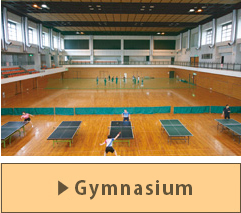 Multipurpose Hall