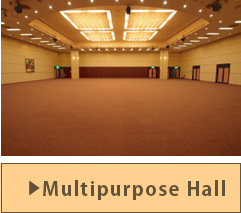 Multipurpose Hall